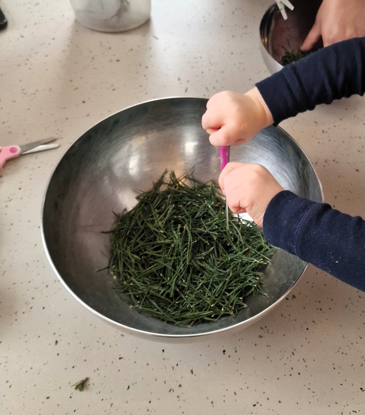 Vargtassene lager furunålte